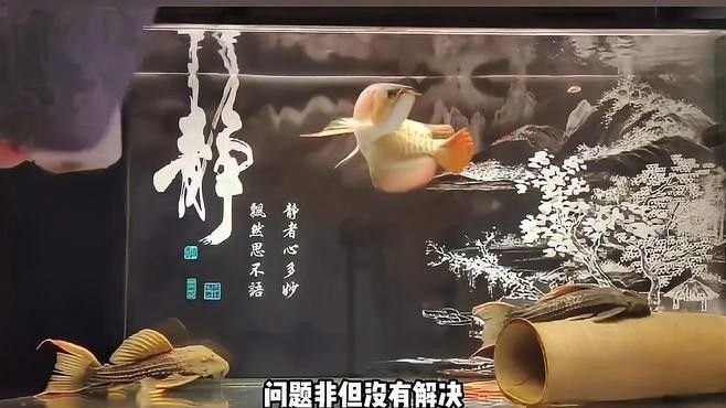 龍魚爛鱗病能完全治愈嗎（隨縣人民政府門戶網站龍魚爛鰭應該怎么治療龍魚爛鰭）