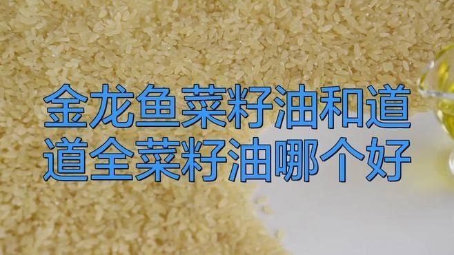 金龍魚和道道全哪個更健康？ 金龍魚和道道全哪個更健康？ 龍魚百科 第1張