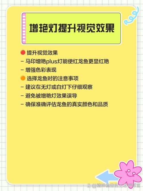 紅龍魚用白燈和黃燈的對比圖（紅龍魚在不同燈光下的發色效果差異顯著）