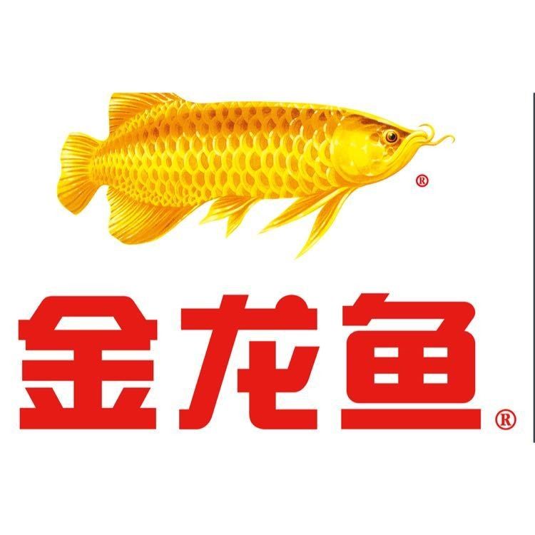 南昌金龍魚有哪些部門？（南昌金龍魚在南昌的工廠規模有多大）