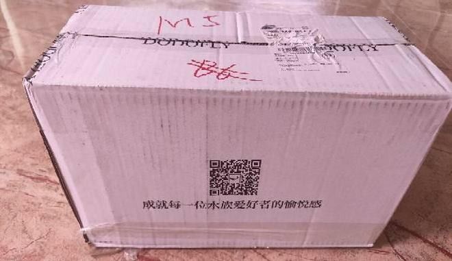 Dodofly嘟嘟飛濾材質(zhì)量如何？（dodofly嘟嘟飛濾材開箱體驗(yàn)）