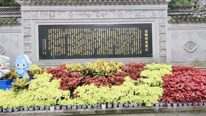 仟湖和森森的用戶評價如何