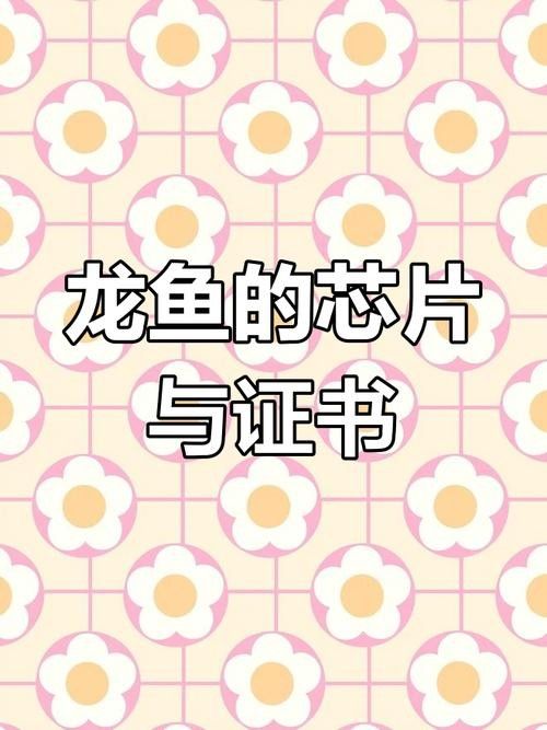 如何檢查龍魚芯片的真偽（龍魚芯片如何查詢龍魚芯片的真偽龍魚芯片的真偽）