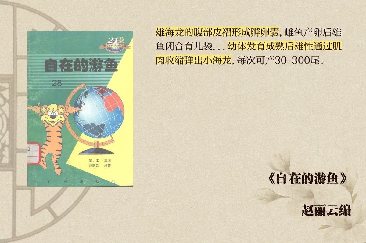 如何區分海龍和海馬