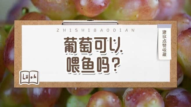 金龍魚吃葡萄需要去皮嗎？
