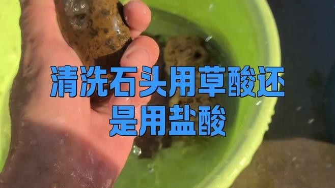 金龍魚張嘴圖片欣賞圖，有過背金龍、紅龍等品種，金龍魚張嘴圖片欣賞