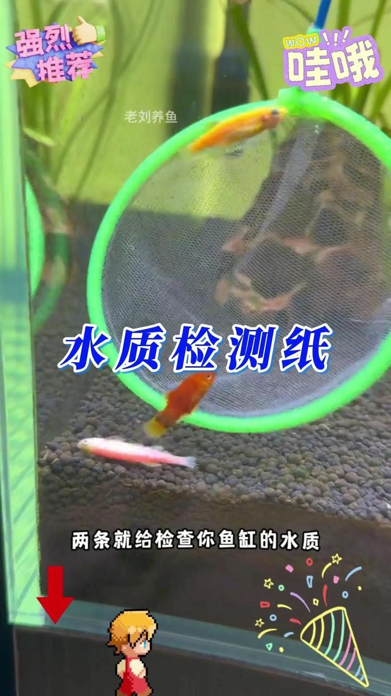 龍魚水質檢測試紙推薦（龍魚水質檢測試紙）