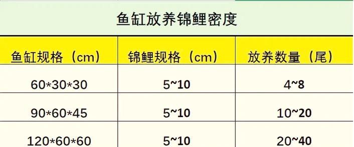 火龍魚(yú)和錦鯉的喂食頻率 龍魚(yú)百科 第8張 火龍魚(yú)和錦鯉的喂食頻率 火龍魚(yú)和錦鯉的喂食頻率 龍魚(yú)百科 第8張