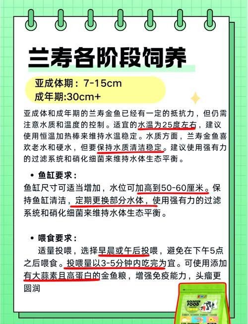 火龍魚(yú)和錦鯉的喂食頻率 龍魚(yú)百科 第4張 火龍魚(yú)和錦鯉的喂食頻率 火龍魚(yú)和錦鯉的喂食頻率 龍魚(yú)百科 第4張