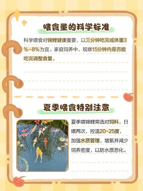 火龍魚(yú)和錦鯉的喂食頻率 龍魚(yú)百科 第6張 火龍魚(yú)和錦鯉的喂食頻率 火龍魚(yú)和錦鯉的喂食頻率 龍魚(yú)百科 第6張