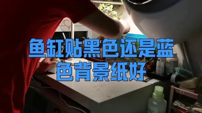 龍魚(yú)缸壁紙材質(zhì)有哪些選擇（常見(jiàn)的龍魚(yú)缸壁紙材質(zhì)及其特點(diǎn)） 龍魚(yú)缸壁紙材質(zhì)有哪些選擇（常見(jiàn)的龍魚(yú)缸壁紙材質(zhì)及其特點(diǎn)） 龍魚(yú)百科 第8張