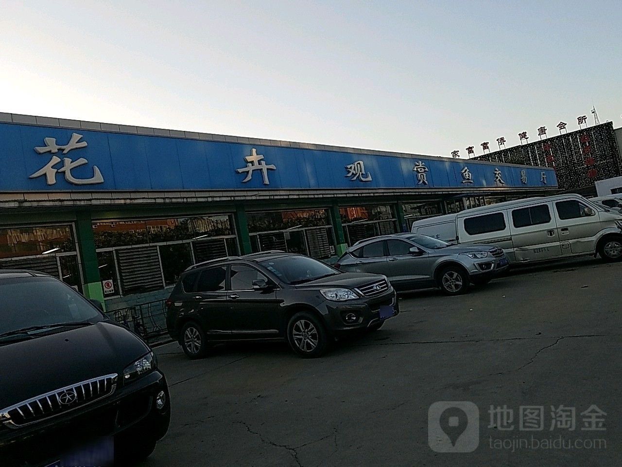 金巴蘭魚市有觀賞魚批發(fā)嗎？（巴厘島有哪些知名的觀賞魚店？） 金巴蘭魚市有觀賞魚批發(fā)嗎？（巴厘島有哪些知名的觀賞魚店？） 龍魚百科 第2張