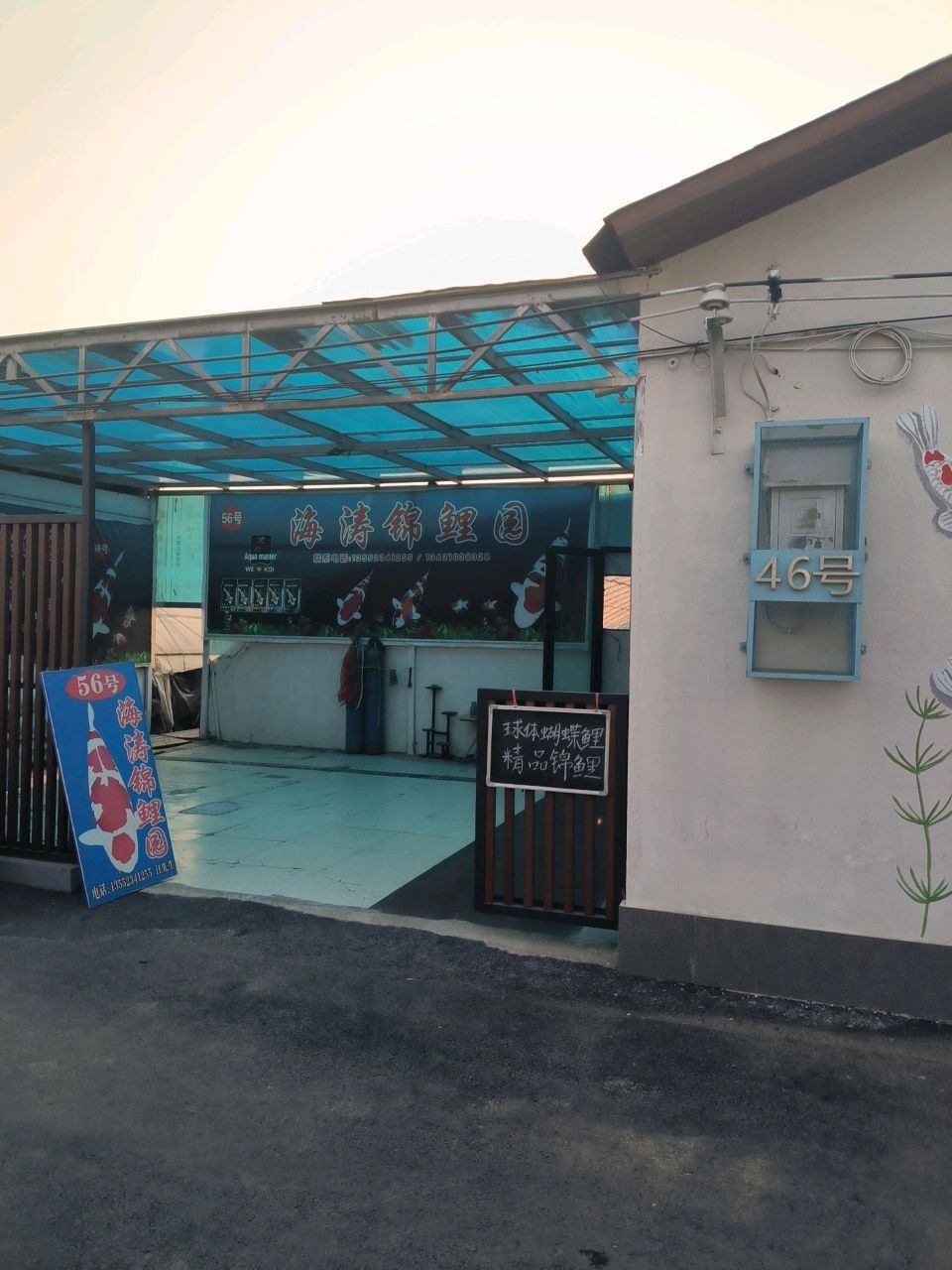 金巴蘭魚市有觀賞魚批發(fā)嗎？（巴厘島有哪些知名的觀賞魚店？） 金巴蘭魚市有觀賞魚批發(fā)嗎？（巴厘島有哪些知名的觀賞魚店？） 龍魚百科 第1張
