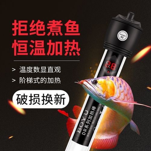 龍魚加熱棒推薦品牌有哪些？（2025年龍魚加熱棒主流品牌）