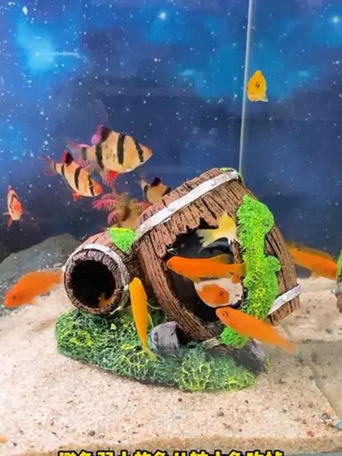混養時應該如何設置水草和躲避物（養水族箱時合理設置水草和躲避物對于營造一個健康、美觀的生態環境至關重要） 混養時應該如何設置水草和躲避物（養水族箱時合理設置水草和躲避物對于營造一個健康、美觀的生態環境至關重要） 龍魚百科 第8張