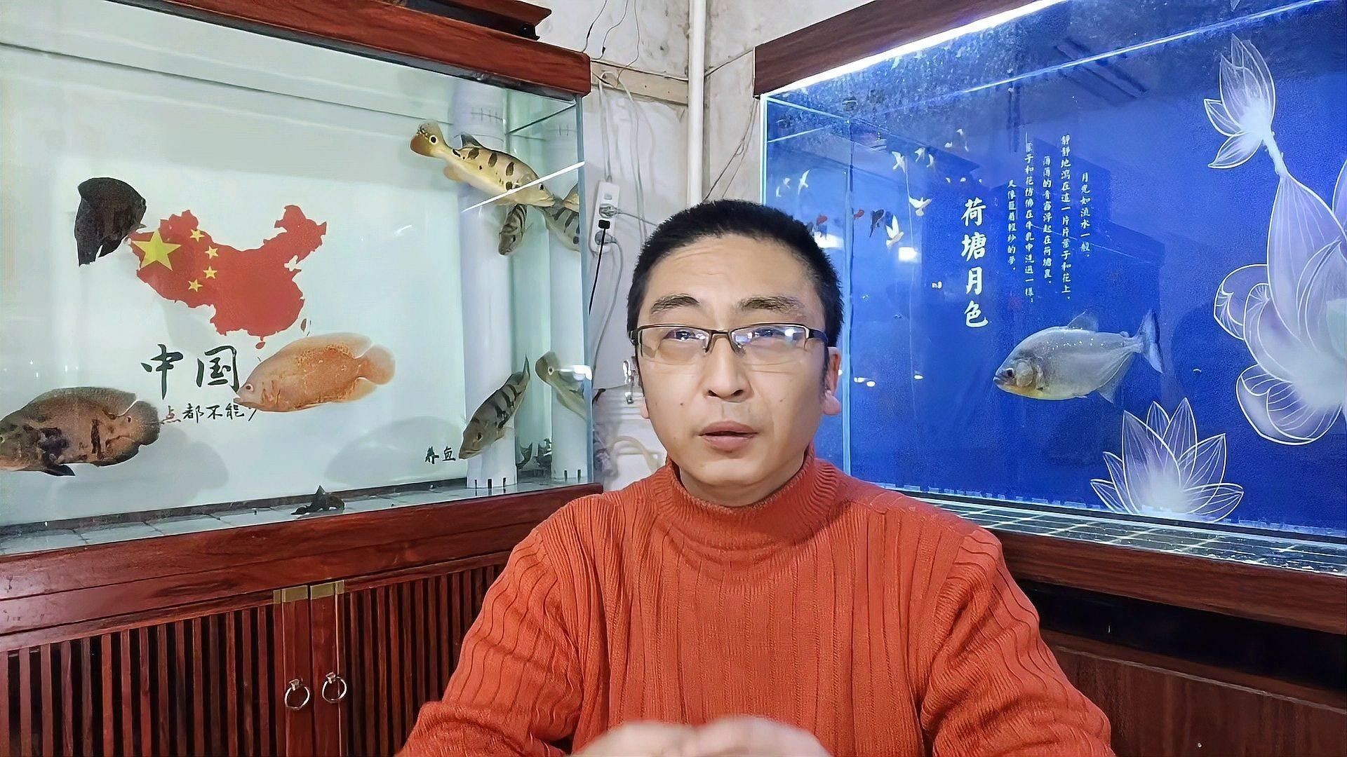 混養時應該如何設置水草和躲避物（養水族箱時合理設置水草和躲避物對于營造一個健康、美觀的生態環境至關重要） 混養時應該如何設置水草和躲避物（養水族箱時合理設置水草和躲避物對于營造一個健康、美觀的生態環境至關重要） 龍魚百科 第9張