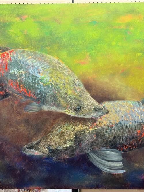 給我一些海象魚和龍魚混養的圖片（關于海象魚和龍魚混養的圖片描述） 給我一些海象魚和龍魚混養的圖片（關于海象魚和龍魚混養的圖片描述） 龍魚百科 第19張