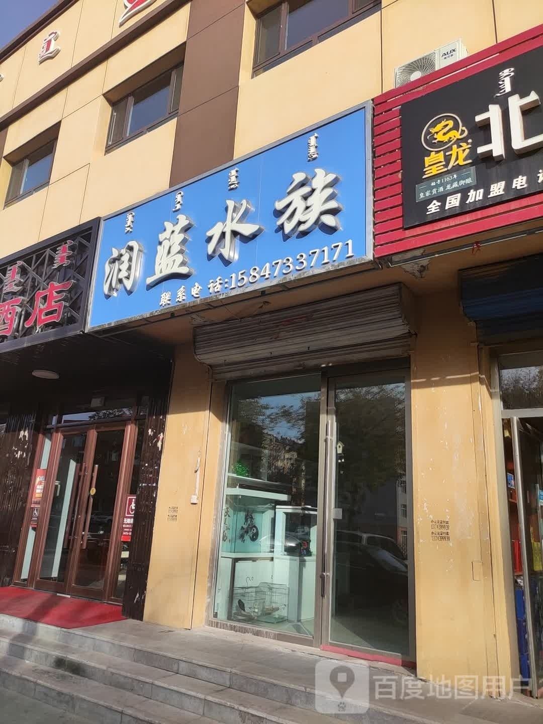 克什克騰哪個水族館龍魚好？祥龍魚場龍魚（什克騰水族館的龍魚以其獨(dú)特的外觀和優(yōu)雅的游動姿態(tài)而聞名）