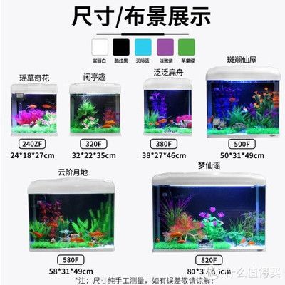 奶茶雷龍魚需要多大的缸（奶茶雷龍魚需要多大的缸養）（養一條奶茶雷龍魚需要至少100升的水族箱和水族箱）