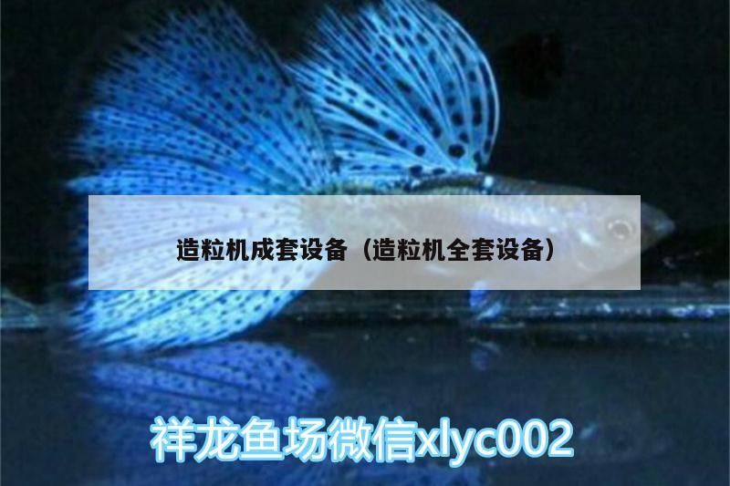 造粒機(jī)成套設(shè)備（造粒機(jī)全套設(shè)備）（祥龍魚場(chǎng)造粒機(jī)成套設(shè)備的知識(shí)，造粒機(jī)全套設(shè)備的解釋）