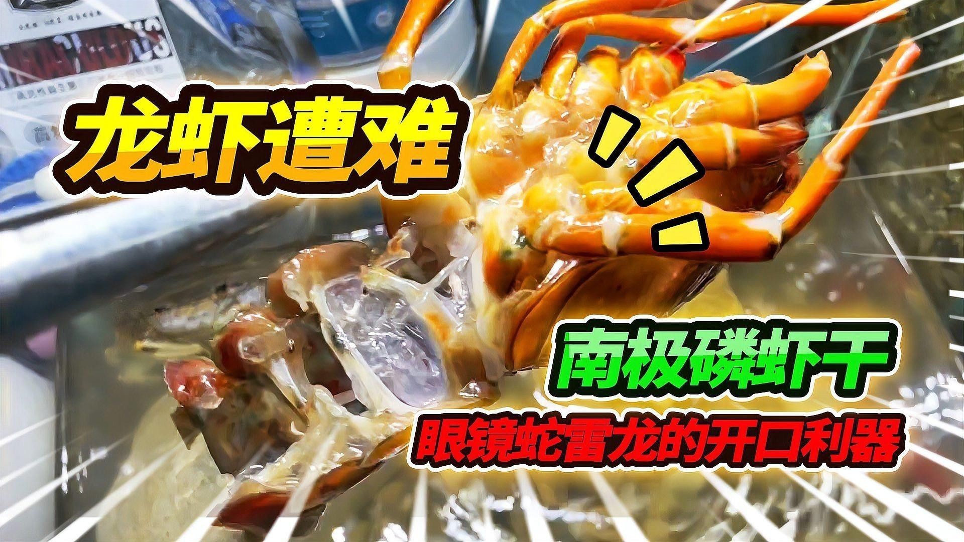 有哪些食物是眼鏡蛇雷龍喜歡的？（眼鏡蛇雷龍可能會喜歡吃小型哺乳動物或哺乳動物）