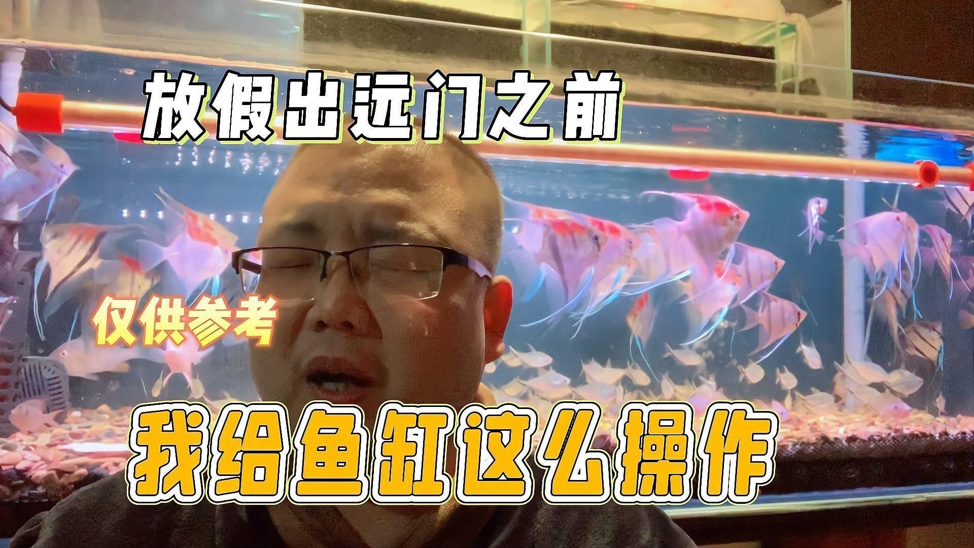 檢疫期間需要換水嗎（新魚到家過完水后應(yīng)該如何檢疫搜狐新聞到家檢疫隔離全攻略） 檢疫期間需要換水嗎（新魚到家過完水后應(yīng)該如何檢疫搜狐新聞到家檢疫隔離全攻略） 龍魚百科 第1張