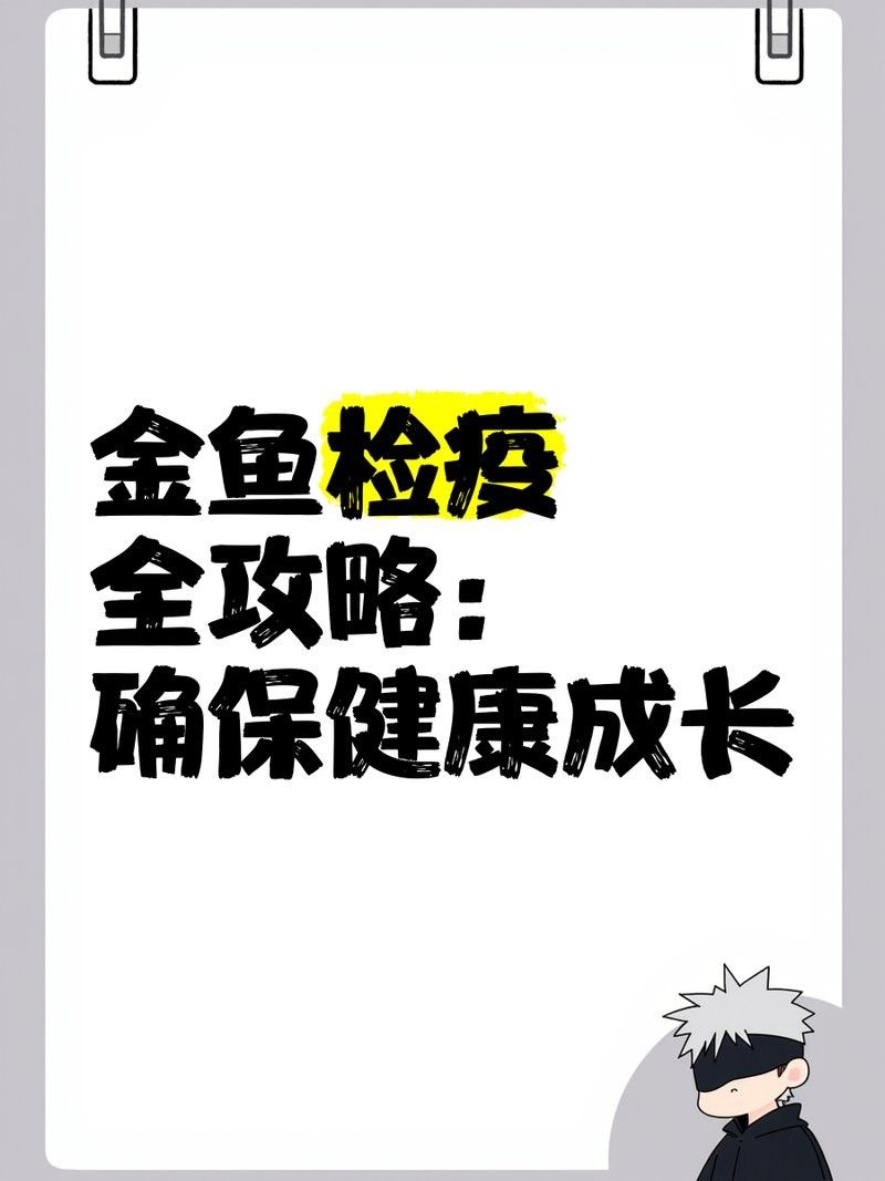 檢疫期間需要換水嗎（新魚到家過完水后應(yīng)該如何檢疫搜狐新聞到家檢疫隔離全攻略） 檢疫期間需要換水嗎（新魚到家過完水后應(yīng)該如何檢疫搜狐新聞到家檢疫隔離全攻略） 龍魚百科 第5張