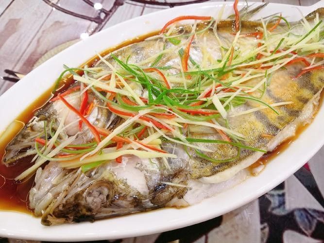 給我一些高清的雪龍魚圖片（關于雪龍魚的高清圖片資源推薦）