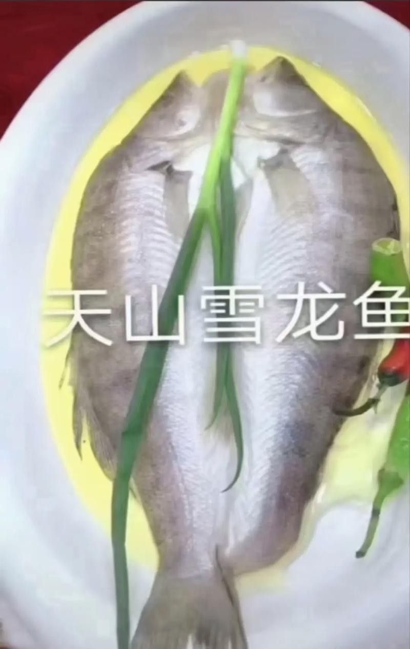 真菌和細(xì)菌哪個(gè)更容易復(fù)發(fā)，真菌和細(xì)菌的區(qū)別 真菌和細(xì)菌哪個(gè)更容易復(fù)發(fā)，真菌和細(xì)菌的區(qū)別 龍魚(yú)百科 第2張