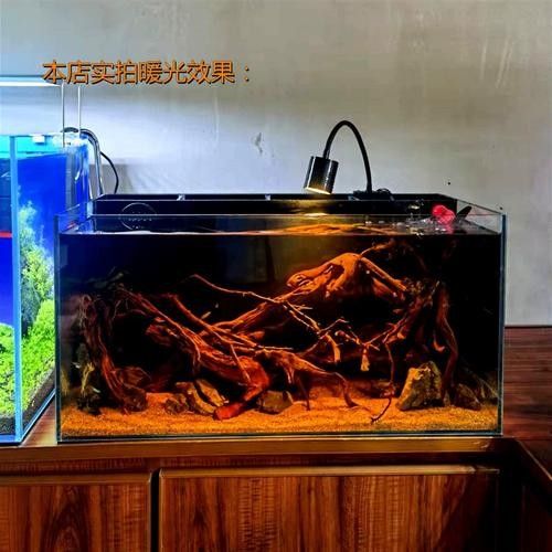 龍魚小夜燈需要多大功率？（龍魚小夜燈功率選擇）