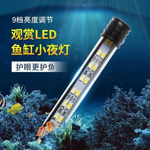 龍魚小夜燈需要多大功率？（龍魚小夜燈功率選擇）