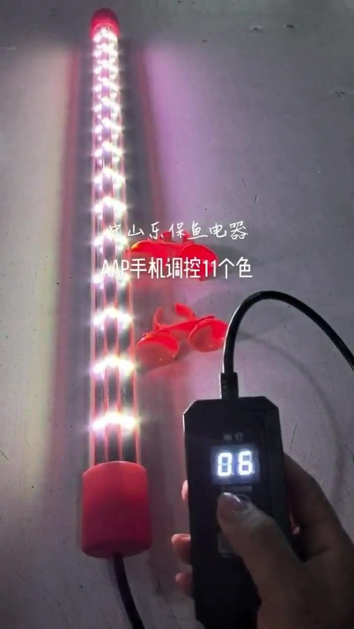 龍魚小夜燈需要多大功率？（龍魚小夜燈功率選擇）