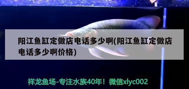 陽江魚缸定做店電話多少啊(陽江魚缸定做店電話多少啊價格) 陽江魚缸定做店電話多少啊(陽江魚缸定做店電話多少啊價格) 觀賞魚百科