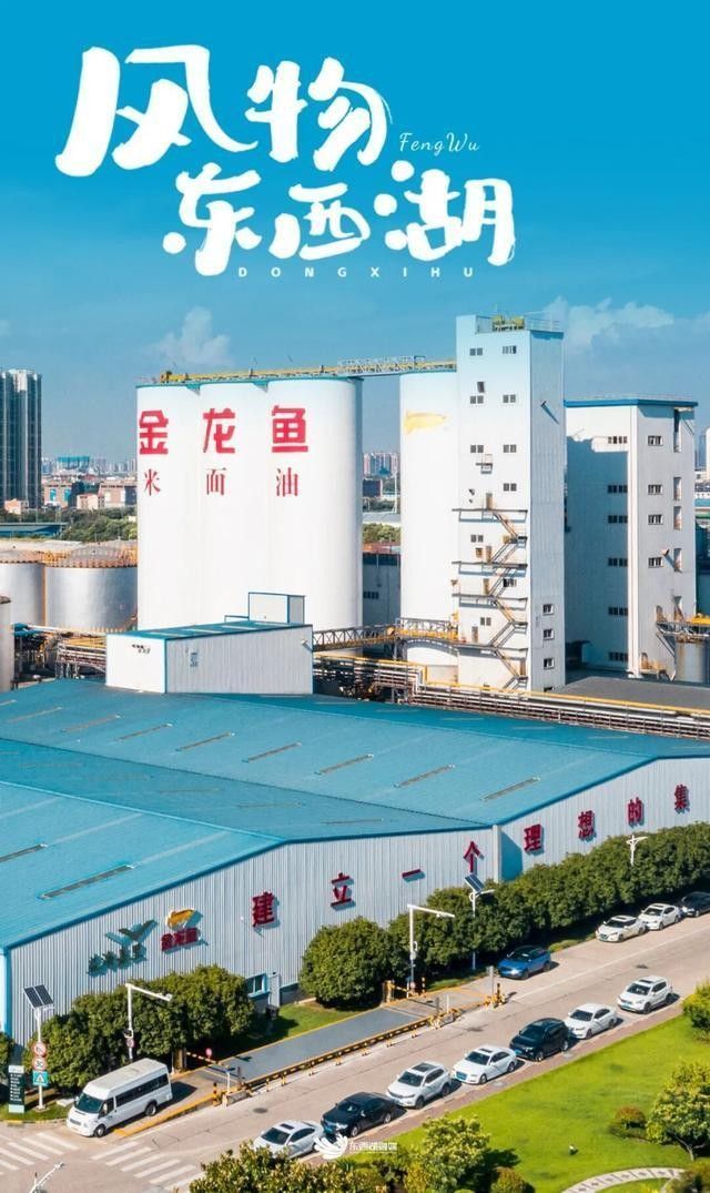 金龍魚甘油二酯油的價格是多少？（金龍魚甘油二酯油的價格）