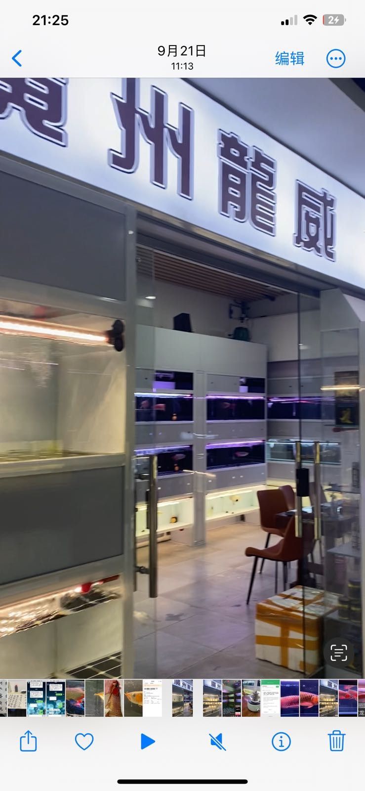 如何聯系花地灣龍魚市場的商戶？（如何找到花地灣龍魚市場商戶） 如何聯系花地灣龍魚市場的商戶？（如何找到花地灣龍魚市場商戶） 龍魚百科 第1張