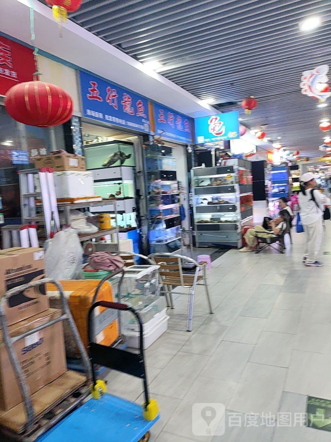 如何聯系花地灣龍魚市場的商戶？（如何找到花地灣龍魚市場商戶） 如何聯系花地灣龍魚市場的商戶？（如何找到花地灣龍魚市場商戶） 龍魚百科 第2張