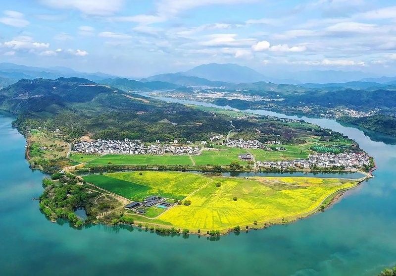 年輝漁村的環(huán)境如何？（中國東海之濱年輝漁村，環(huán)境優(yōu)美，四季分明，） 年輝漁村的環(huán)境如何？（中國東海之濱年輝漁村，環(huán)境優(yōu)美，四季分明，） 龍魚百科 第2張