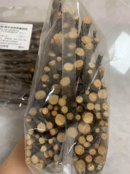 有哪些磨牙玩具適合龍貓？（適合龍貓的磨牙玩具）