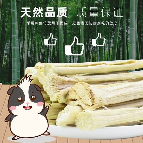 有哪些磨牙玩具適合龍貓？（適合龍貓的磨牙玩具）