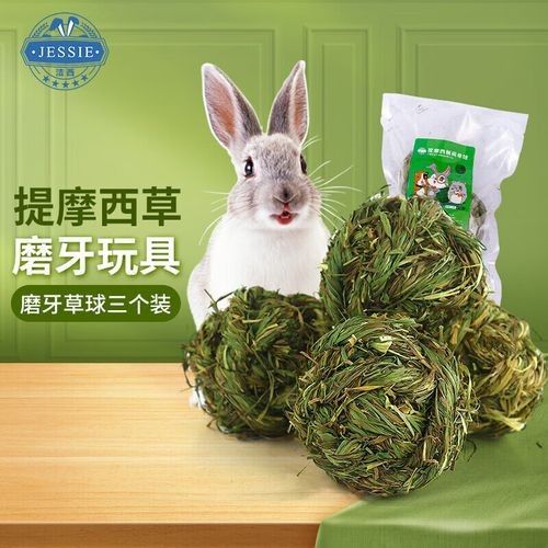 有哪些磨牙玩具適合龍貓？（適合龍貓的磨牙玩具）