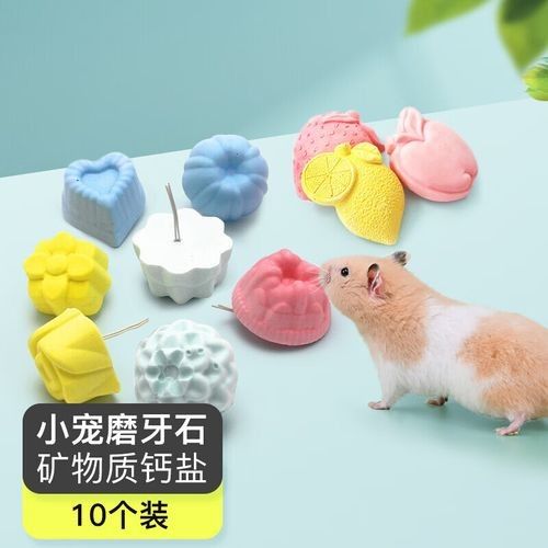 有哪些磨牙玩具適合龍貓？（適合龍貓的磨牙玩具）