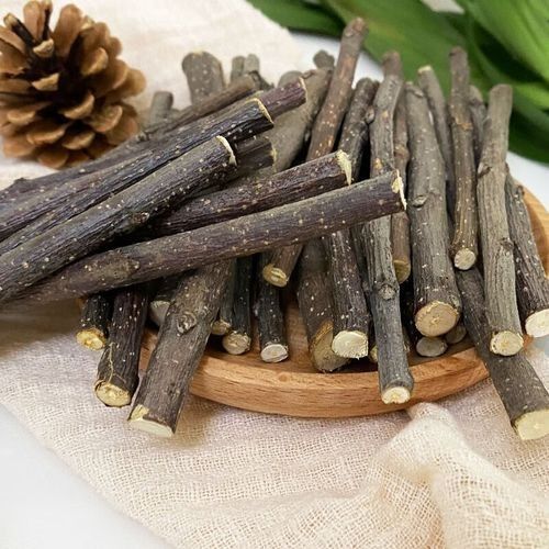 有哪些磨牙玩具適合龍貓？（適合龍貓的磨牙玩具）