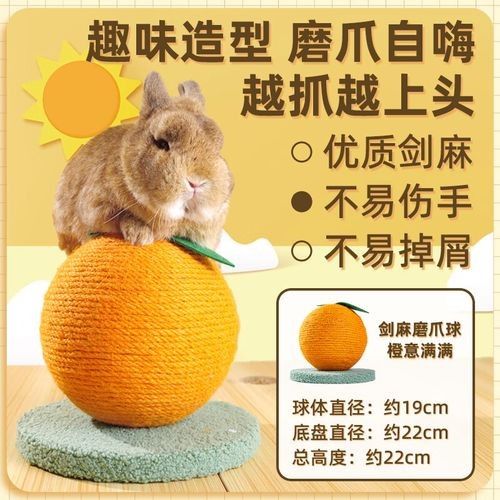 有哪些磨牙玩具適合龍貓？（適合龍貓的磨牙玩具）