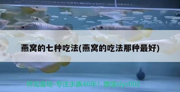龍魚跳缸是什么原因呢怎么治好視頻(龍魚如何繁殖)(關于龍魚的一些建議) 觀賞魚百科 第1張 龍魚跳缸是什么原因呢怎么治好視頻(龍魚如何繁殖)(關于龍魚的一些建議) 龍魚跳缸是什么原因呢怎么治好視頻(龍魚如何繁殖)(關于龍魚的一些建議) 觀賞魚百科 第1張