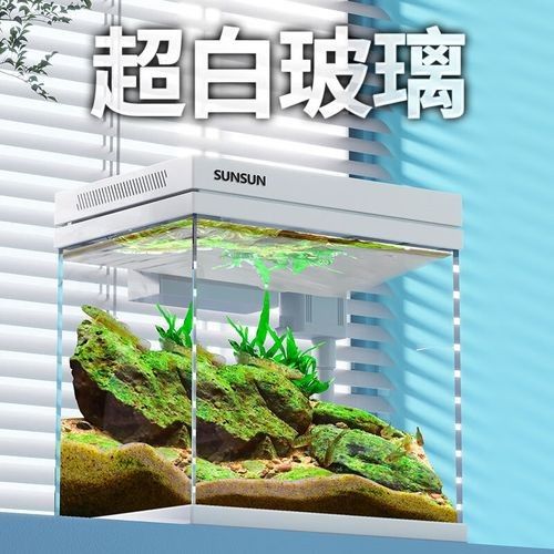 有哪些品牌的水族箱推薦？