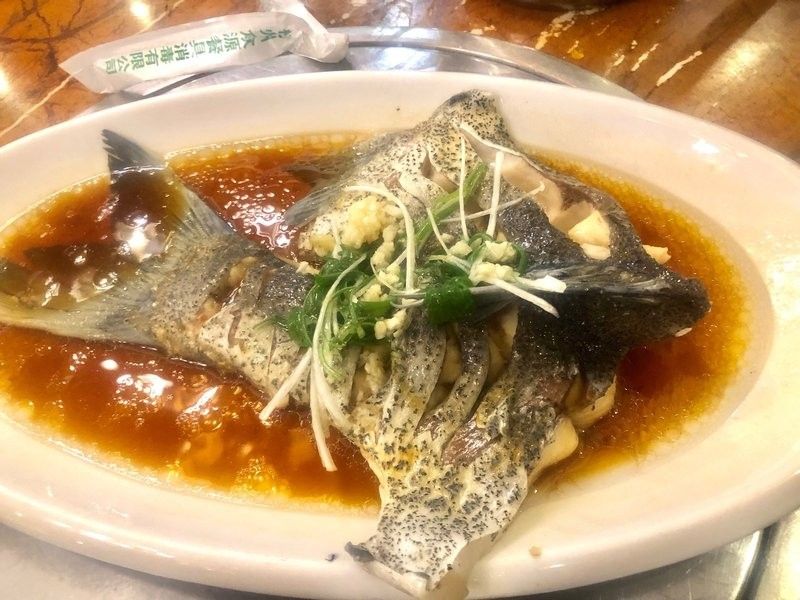 綿陽涪江龍魚港的口碑如何