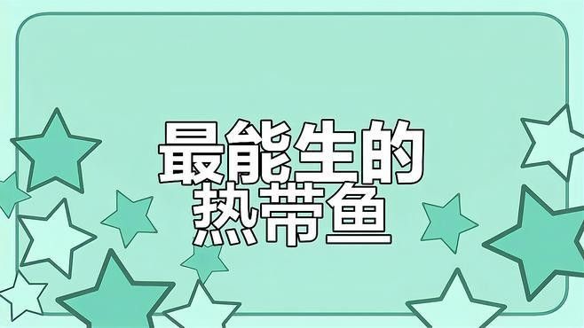 哪種魚的繁殖成功率更高？（探討魚類繁殖成功率時(shí)，我們通常關(guān)注那些具有較高的繁殖成功率的魚種）