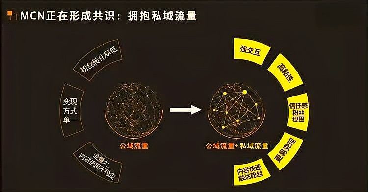 樂芙特和Myntra的價格差異大嗎？（樂芙特和myntra哪個更受歡迎）