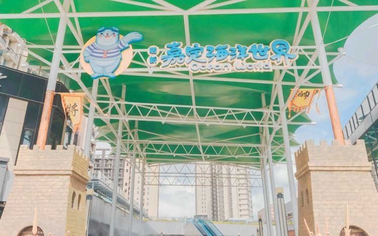 嘉定哪個水族館龍魚好？祥龍魚場龍魚（上海鵬新嘉定海洋世界#遛娃好去處#上海鵬新嘉定海洋館） 嘉定哪個水族館龍魚好？祥龍魚場龍魚（上海鵬新嘉定海洋世界#遛娃好去處#上海鵬新嘉定海洋館） 龍魚百科 第15張