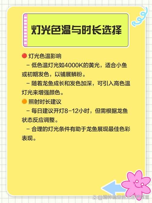 如何設置紅龍魚燈光的時間（如何設置紅龍魚燈光時間）